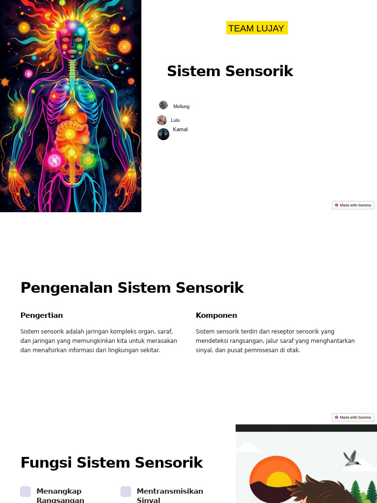 Pentingnya Sistem Sensorik dan Fungsinya | PDF | Pengembangan Diri ...