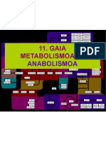 11.METABOLISMOA2_anaya