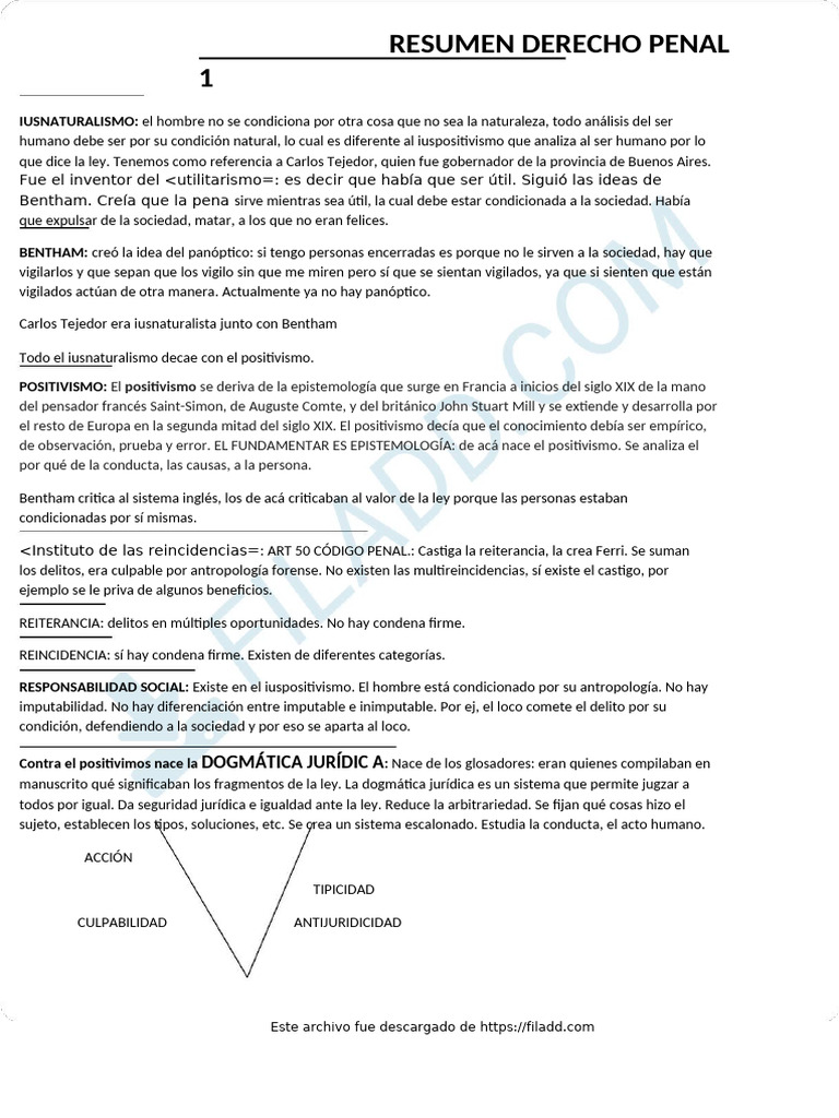 Resumen Clase Y Smolianki Derecho Penal 1 | PDF | La Ley natural | Justicia