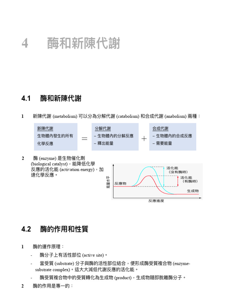 Bio Rev Notes ch04 C | PDF