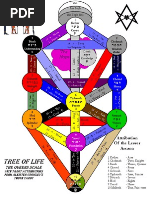 Tree of Life