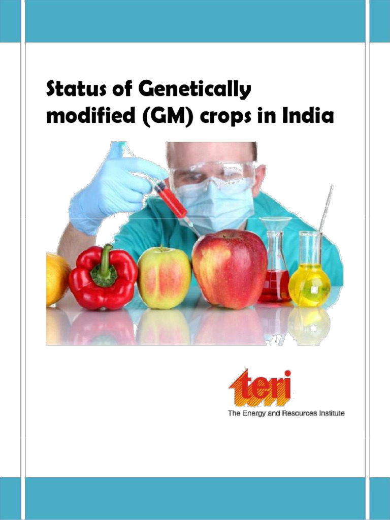 GM Crops in India | PDF | Genetic Engineering | Genetically Modified Crops