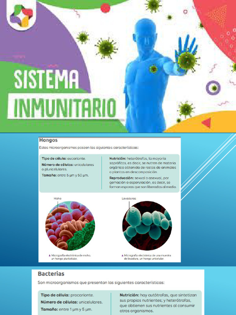 Sistema Inmunitario | PDF