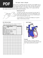 Exercise Impact on Heart Rate Experiment | PDF | Heart Rate | Heart