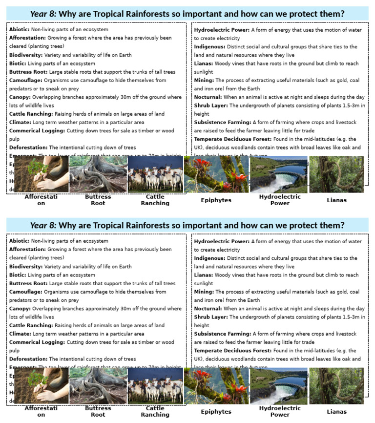 Why Are Tropical Rainforests So Important and How Can We Protect Them ...