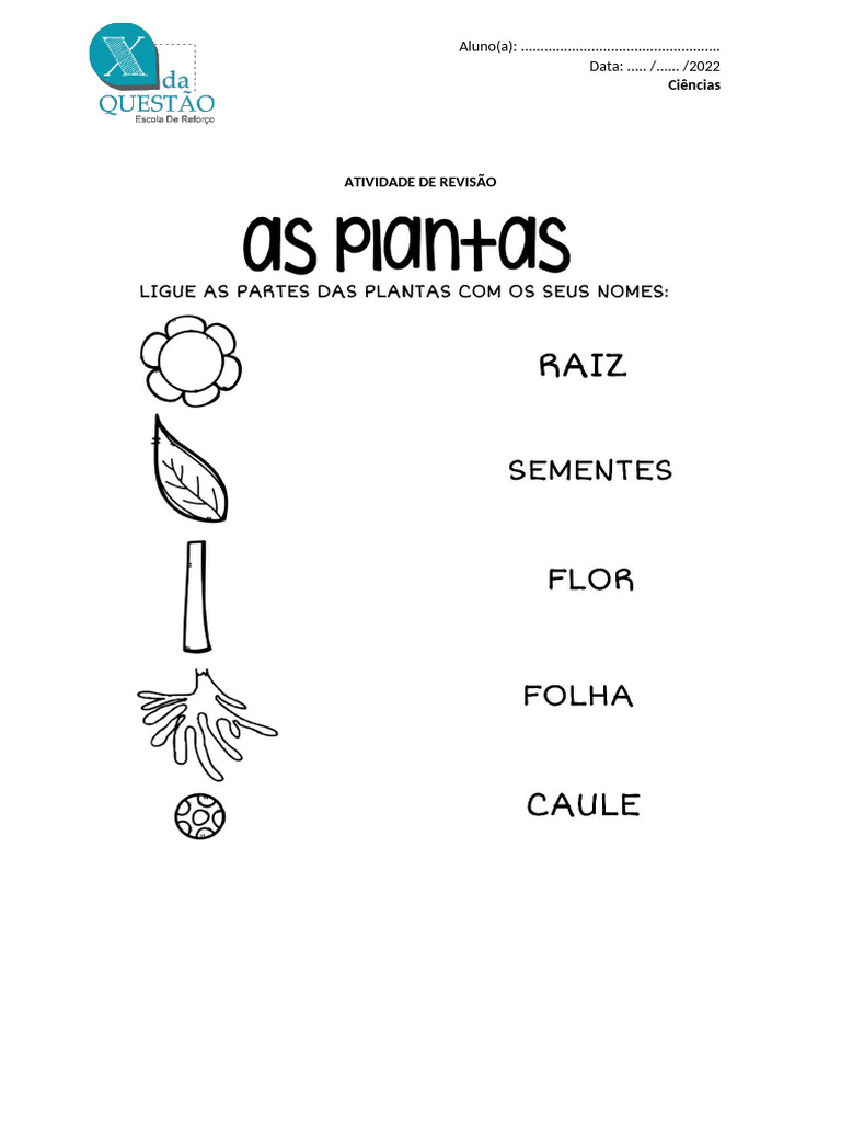 Atividade Revisão Ciencias, Plantas | PDF