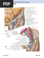 Ganglion de Troisier | PDF