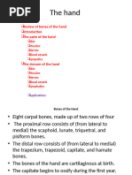 Kaplan's Cardinal Line in Hand Anatomy | PDF | Hand | Finger