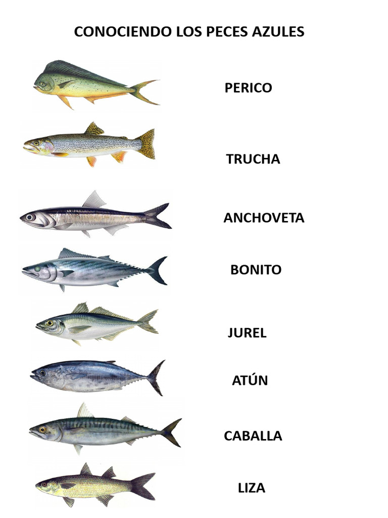 Peces Azules | PDF