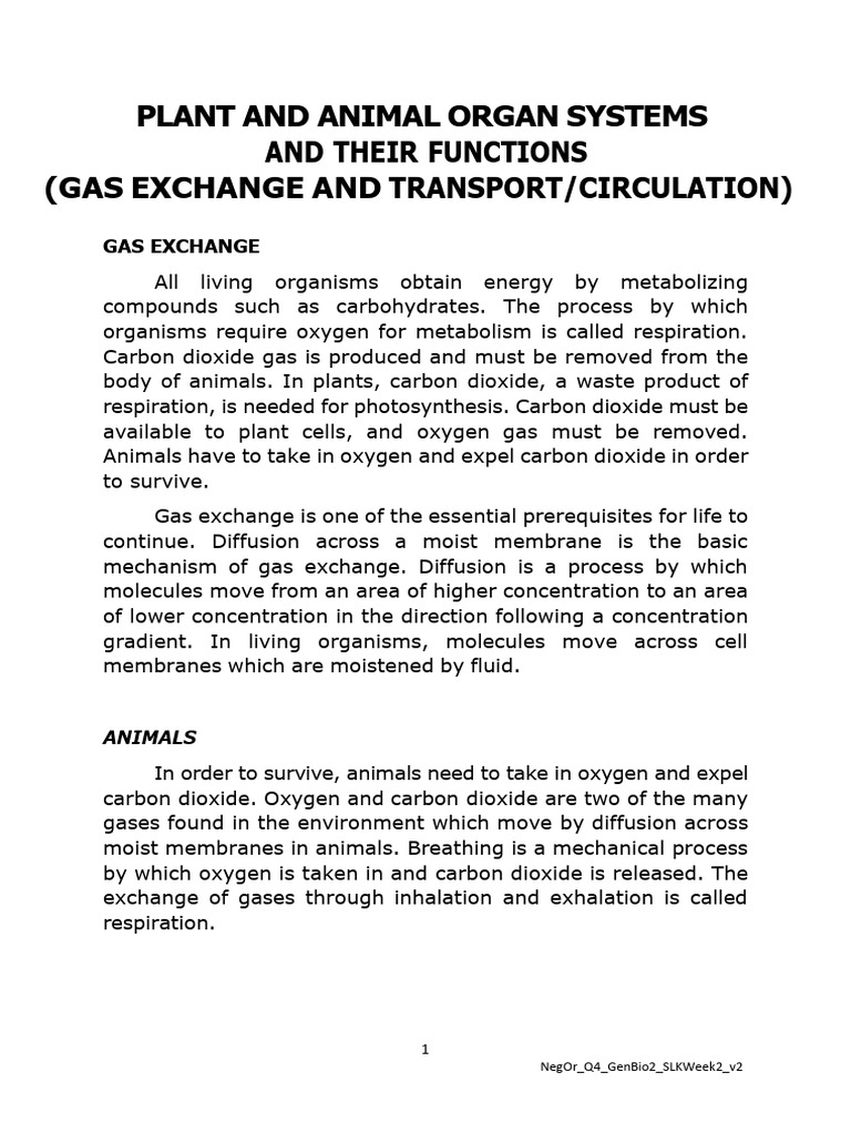 Plant and Animal Gas Exchange Systems | PDF | Heart Valve | Blood