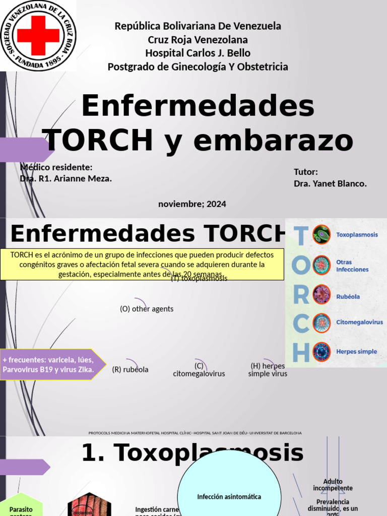 Enfermedades TORCH y Gestacion. Arianne | PDF | Epidemiología | Salud ...