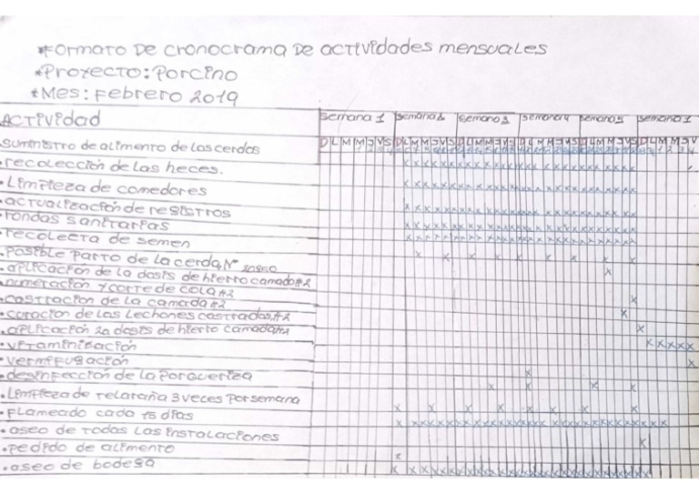 Cronograma de Actividades de Manejo de Especies Pecuaria | PDF