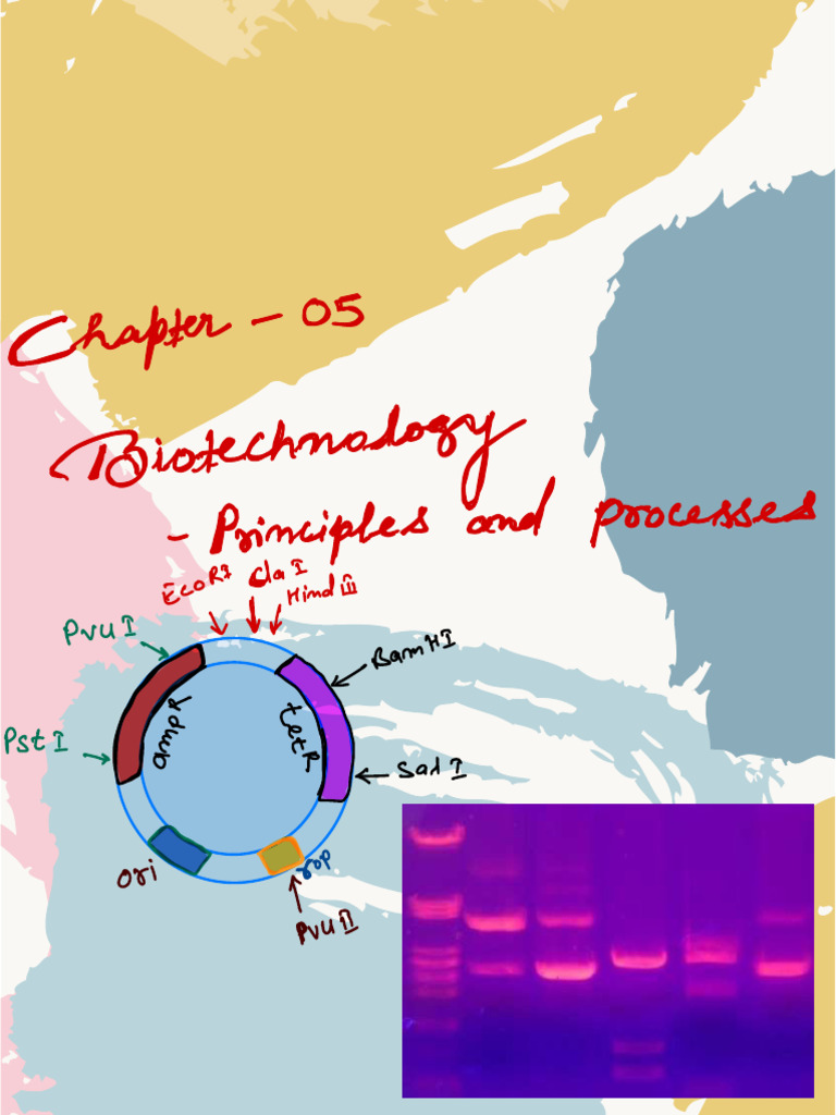 Class Notes Biotechnology Principles and Processes | PDF | Polymerase ...