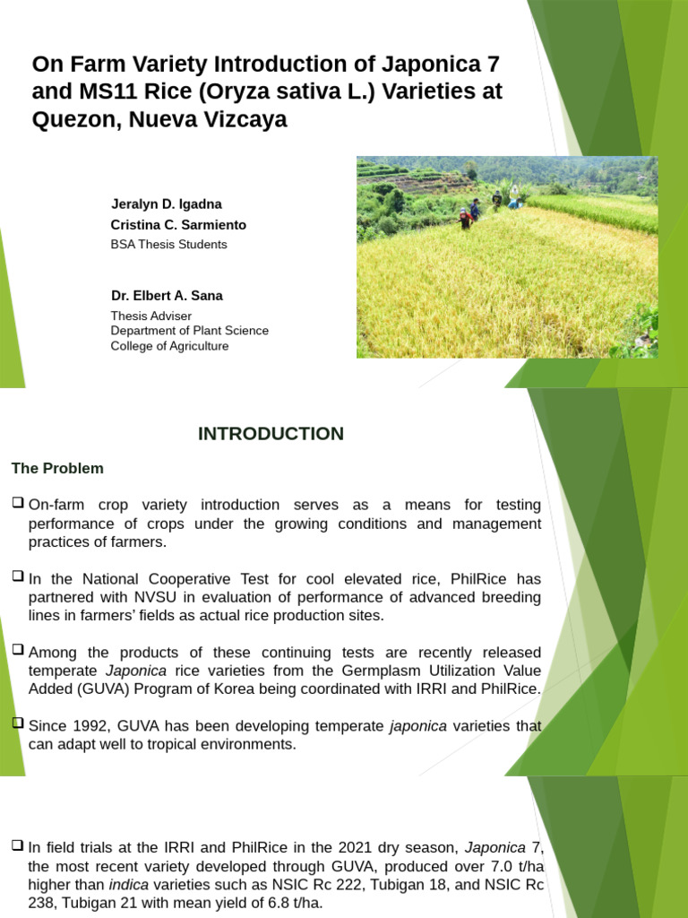 Thesis Outline Presentation | PDF | Rice | Sowing
