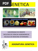 Download GENETICA MENDELIANA by Lot Tabora Soriano SN79536135 doc pdf