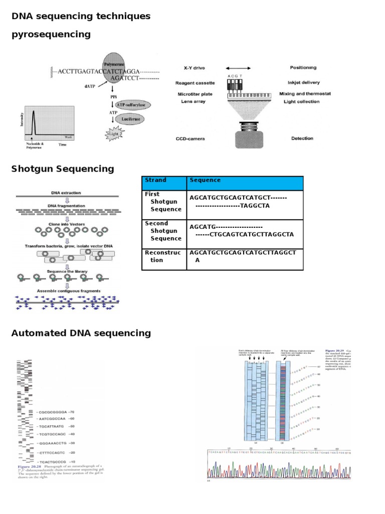 DNA Sequencing Techniques Overview | PDF | Computers | Technology ...