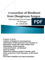 Production of Biodiesel From Oleaginous Fungus