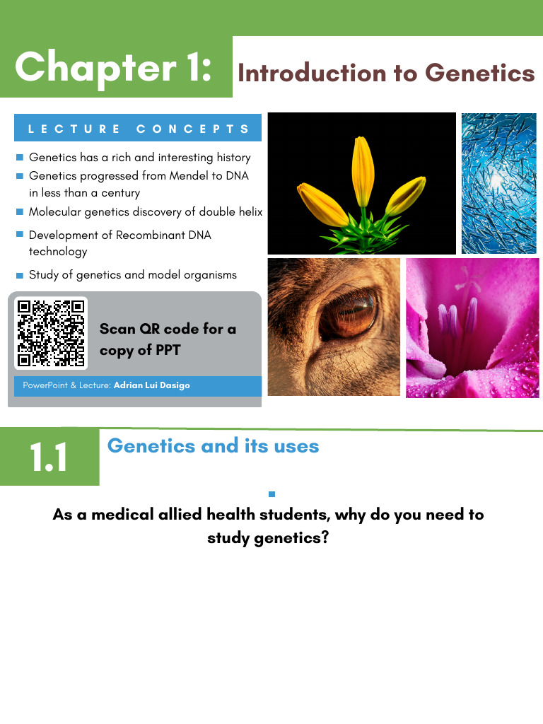 Genetics Chapter 4 Quizlet Anatomy