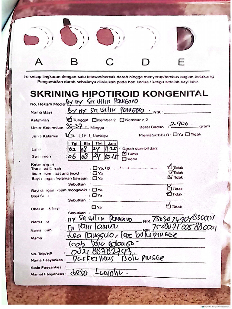 SHK | PDF
