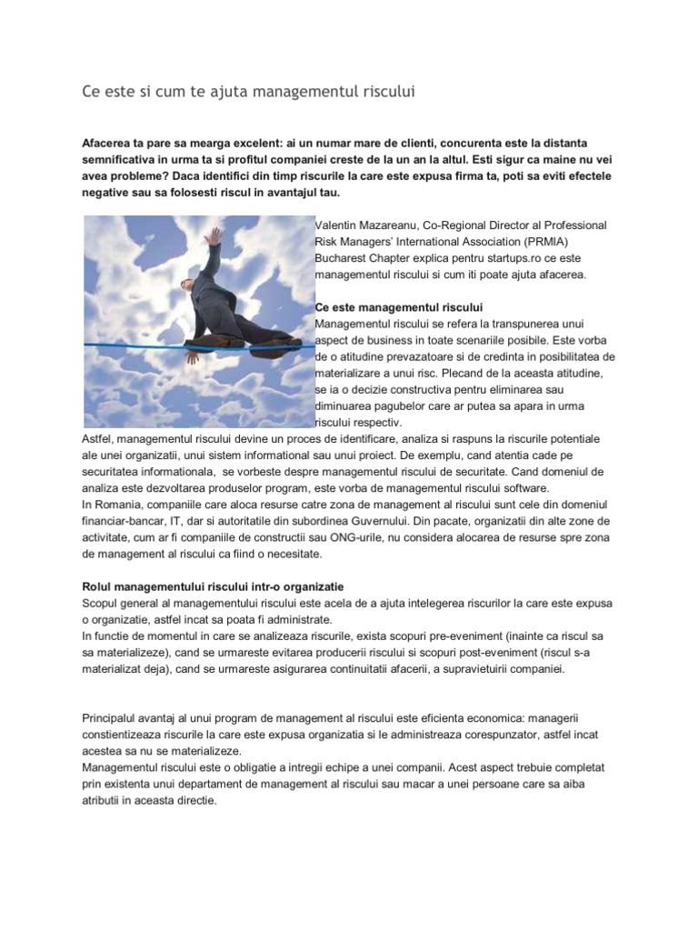 Management Risc | PDF