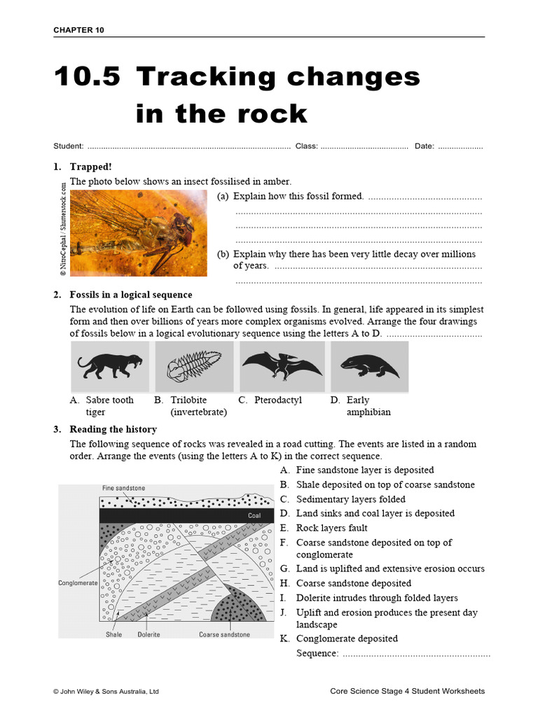 Tracking Changes in Rocks | PDF | Fossil | Earth Sciences