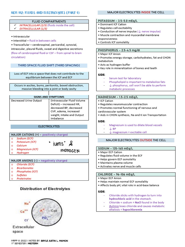 Fluids and Electrolytes Part 1 | PDF | Kidney | Adrenal Gland
