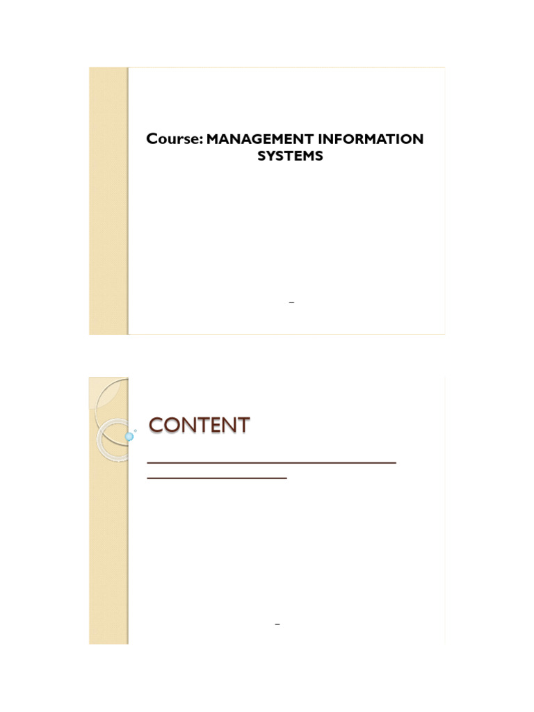 MIS Lecture Notes ESOM60 | PDF | Databases | Information System