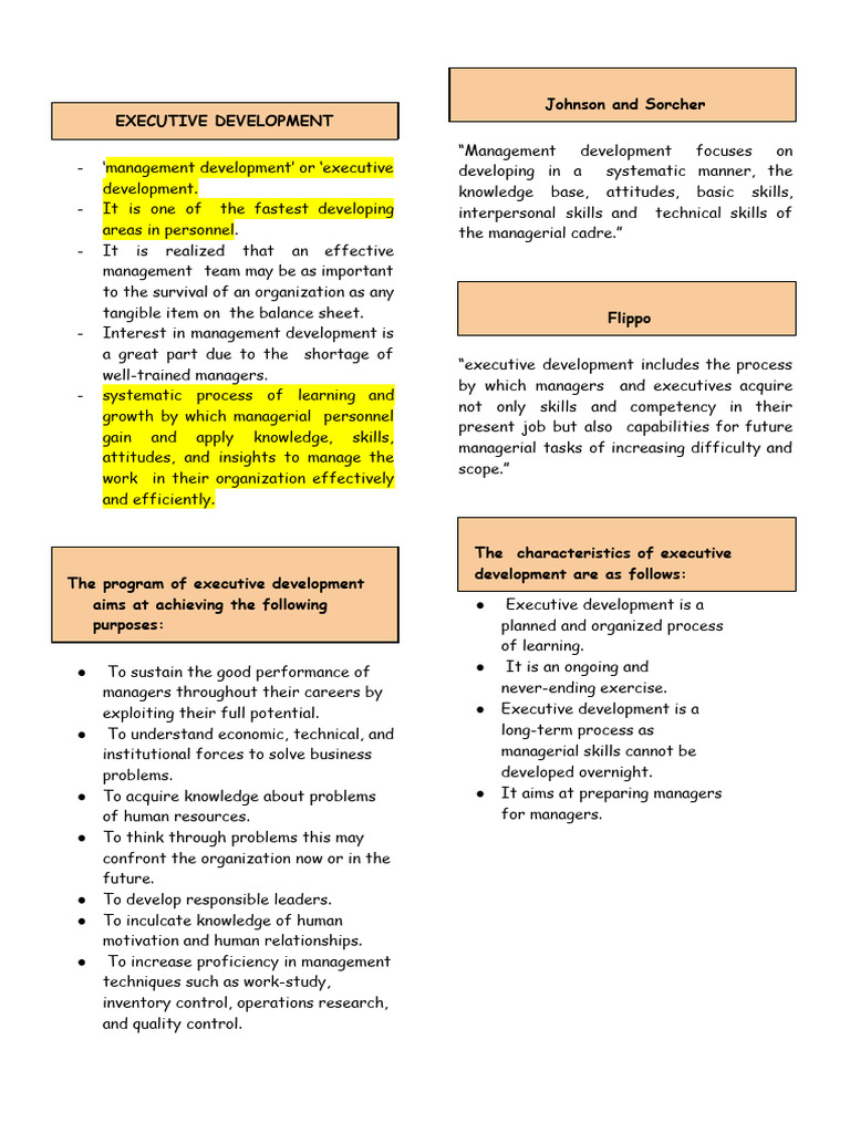 Executive Development Strategies Explained | PDF | Performance ...