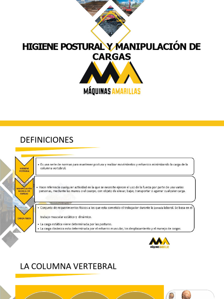 Higiene Postural y Manipulacion de Cargas | PDF | Dolor lumbar | La ...