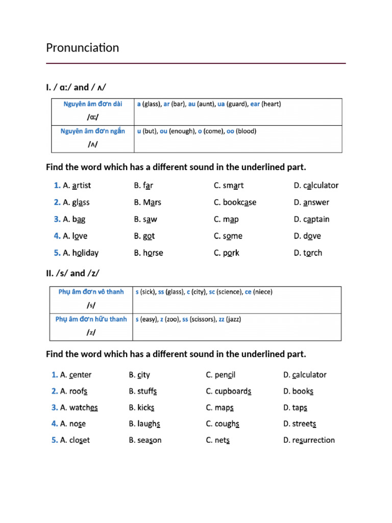 Pronunciation | PDF | Language Arts & Discipline