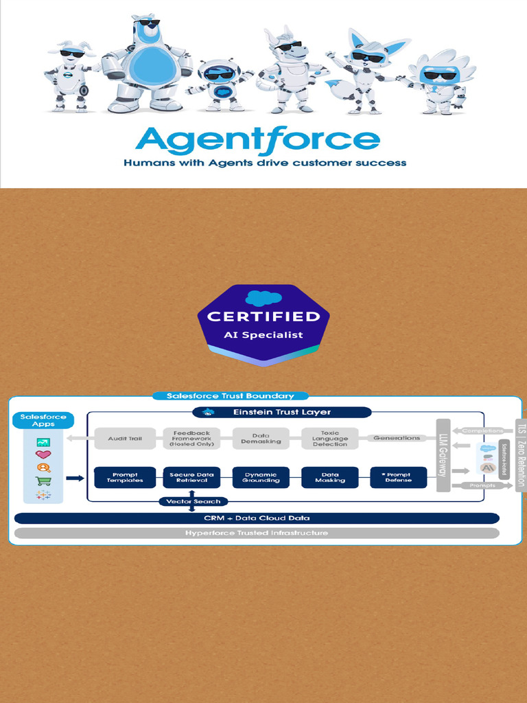 Salesforce AI Specialist Notes | PDF