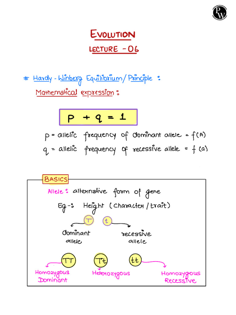 Hardy-Weinberg Equilibrium Explained | PDF | Zygosity | Allele