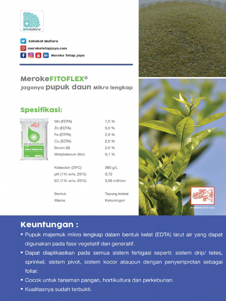 FITOFLEX | PDF