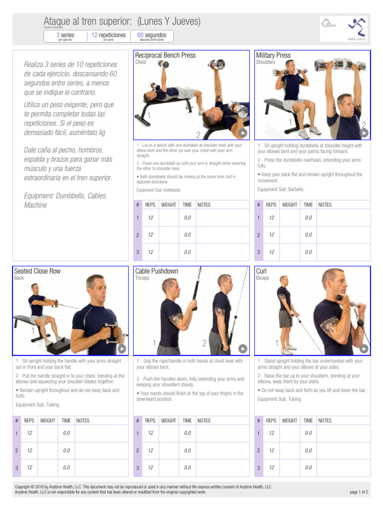 Rutina de Ejercicio Brazos 732052305936605954 | PDF | Arm | Weight Training