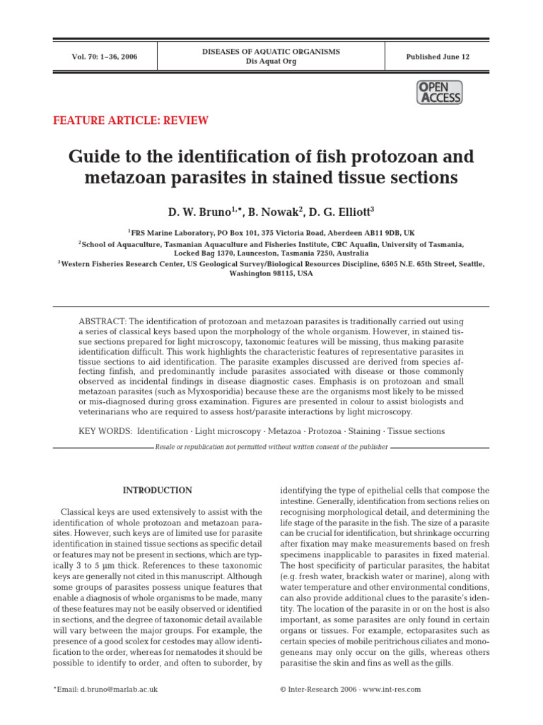 Guide To The Identification of Fish Prot | PDF | Staining | Protozoa