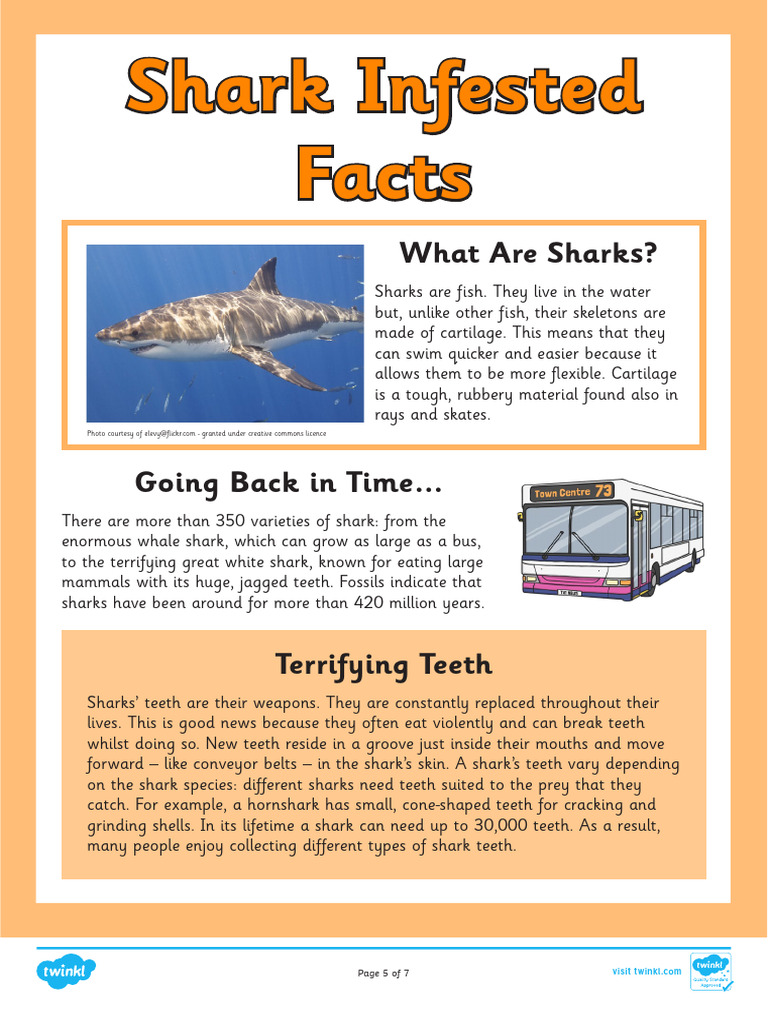 Year 3 reading assessment reading booklet b pdf sharks tooth