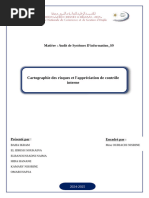 Cartographie des Risques en Management | PDF | Risque | Gestion des risques