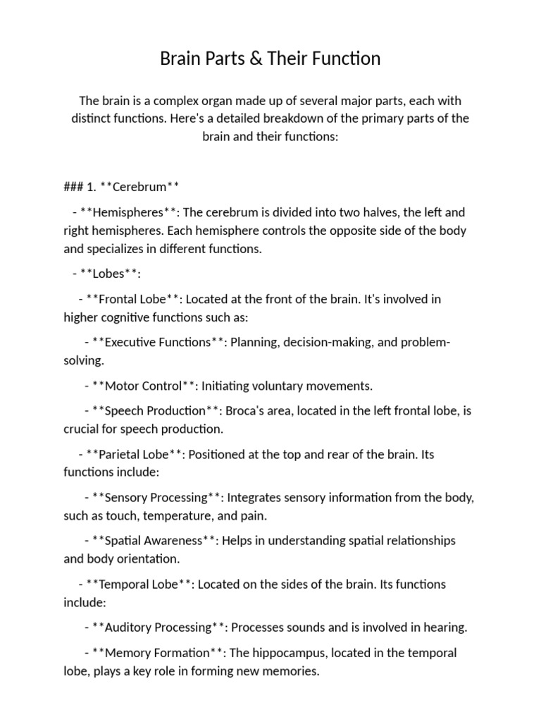 Brain Basic Labeling