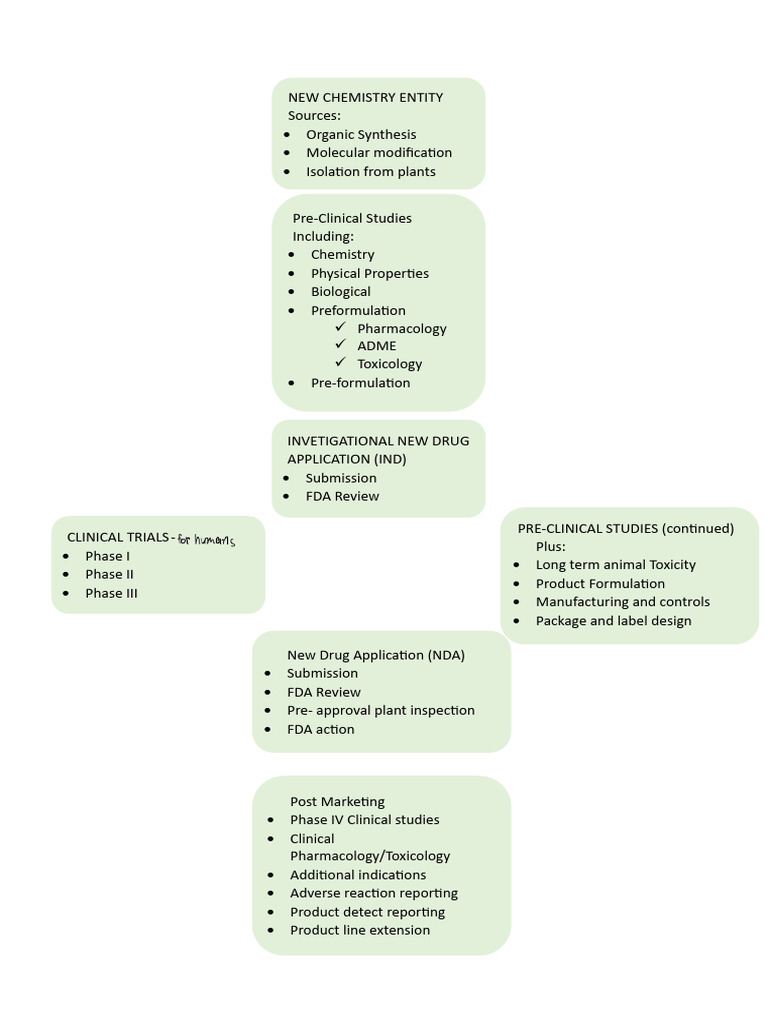 New Drug Development Process Overview | PDF