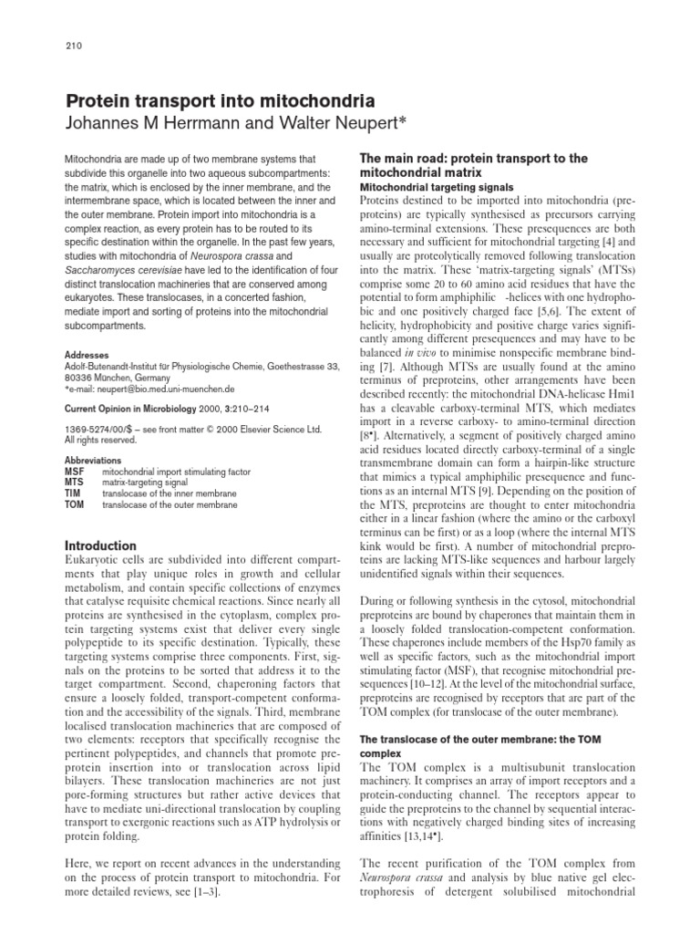Protein Transport Mechanisms in Mitochondria | PDF | Protein Targeting ...