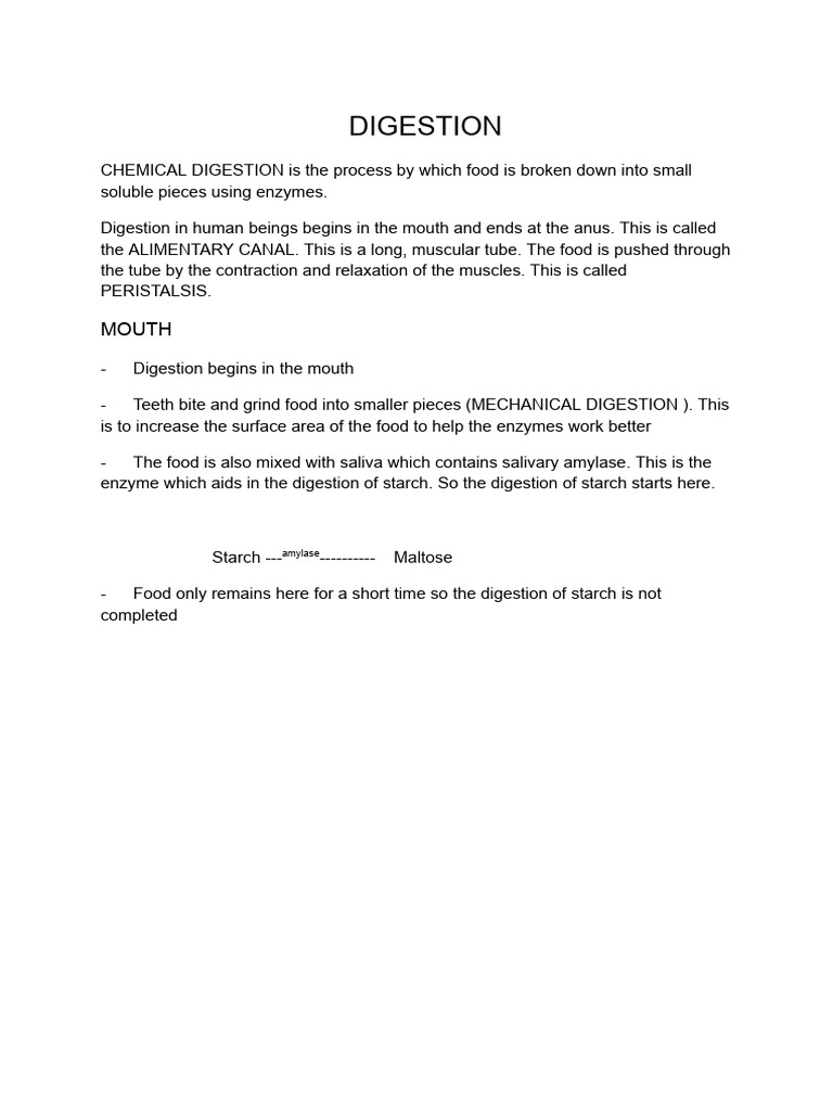 Human Digestive System Overview | PDF | Digestion | Stomach