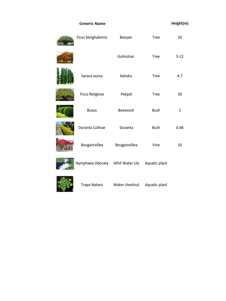 Tree Inventory | PDF