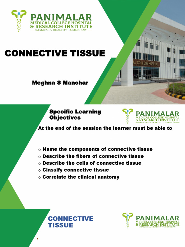 Connective Tissue Pdf Connective Tissue White Blood Cell