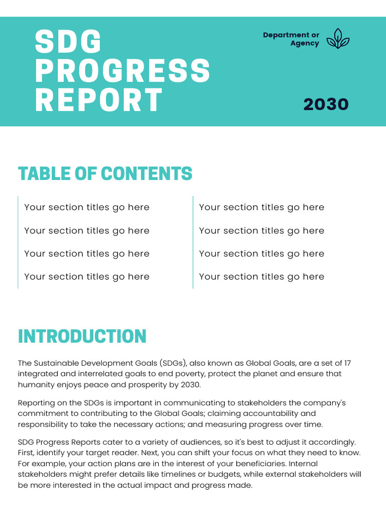 SDG Progress Report Guidelines 2023 | PDF | Data | Sustainability