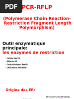 Définition et principe du RFLP | PDF | Réaction en chaîne par ...