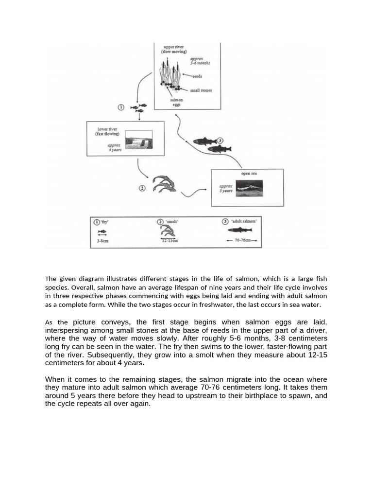 Process Nature | PDF | Home & Garden
