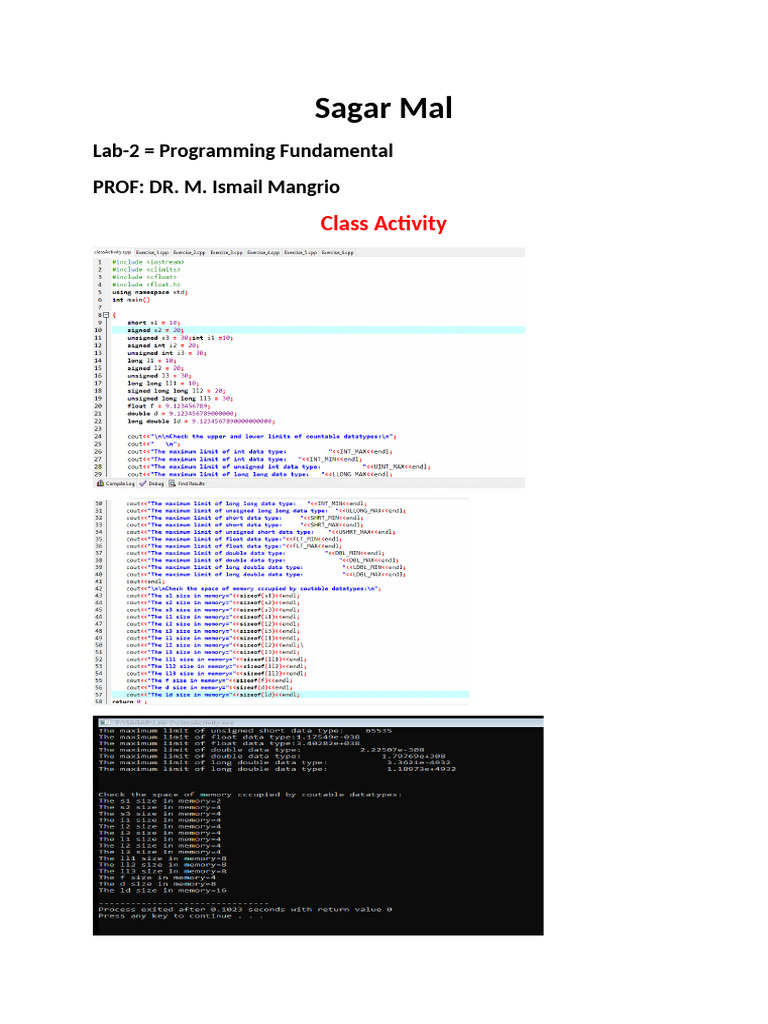 Programming Fundamentals Lab Activity | PDF | Computers