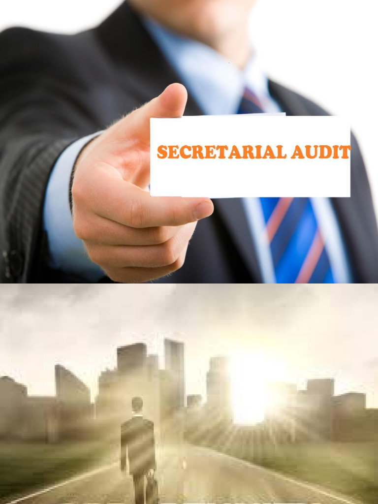 SecretarialAudit FORM MR 3 | PDF | Audit | Auditor's Report
