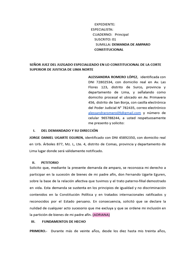 Demanda de Amparo por Sucesión Afín | PDF | Familia | Constitución