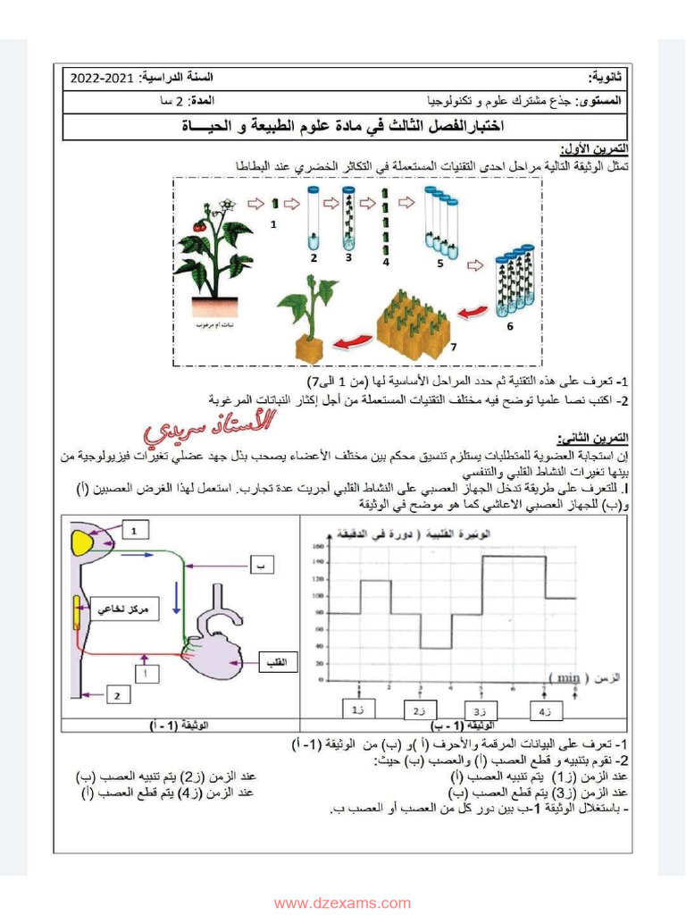 Dzexams 1as Sciences Naturelles 1512576 | PDF | Technology & Engineering